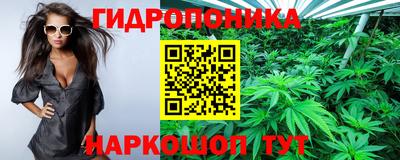 a pvp Будённовск
